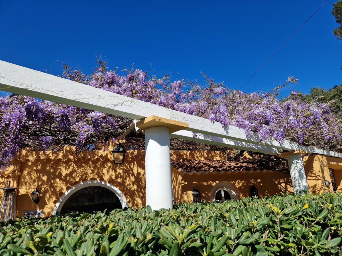 Le Cosy Hotel Saint Aygulf Bagian luar foto